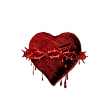 Bleeding heart
